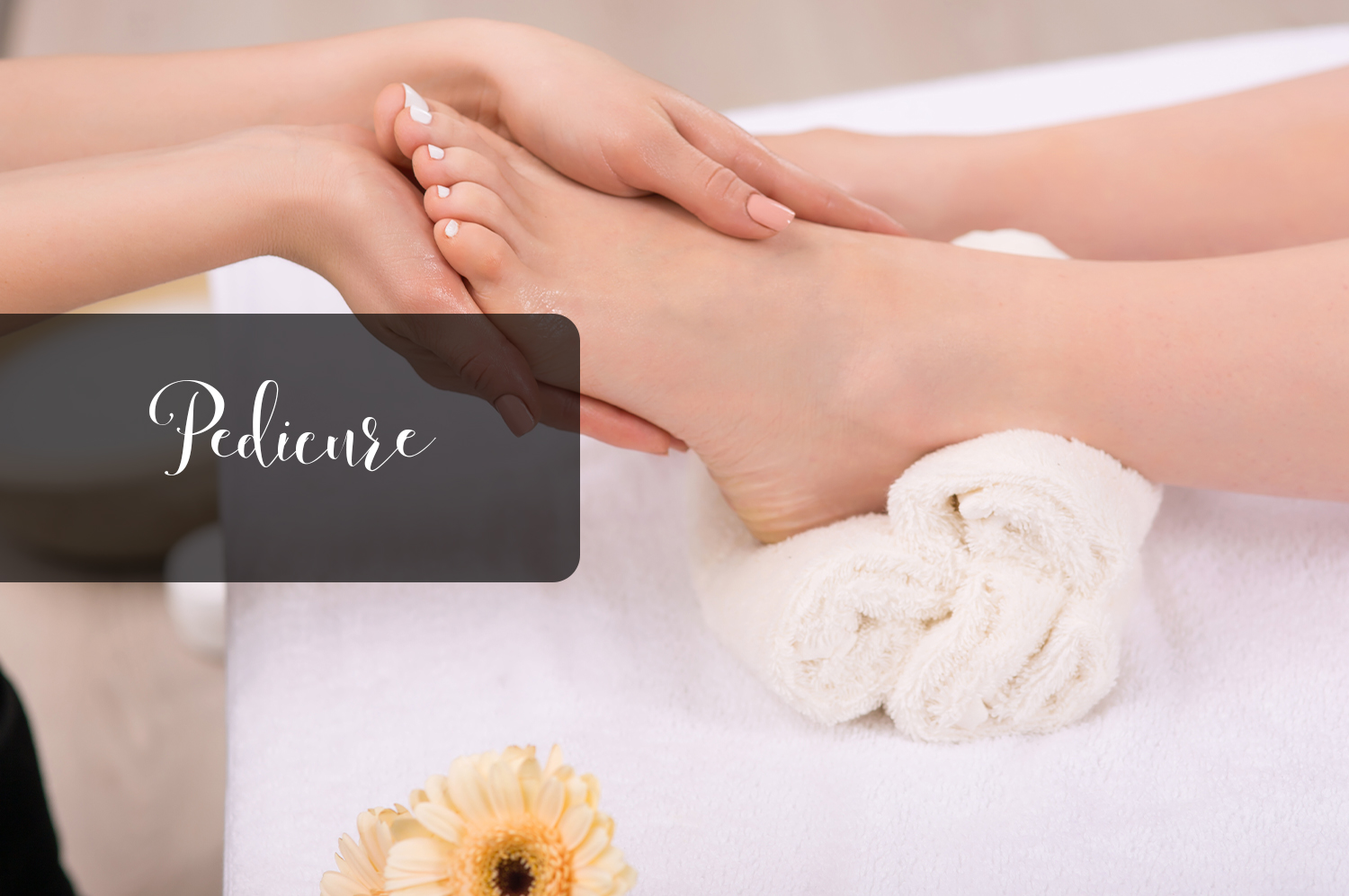 Blush Beauty Bar Rochester's Premiere Beauty Experience